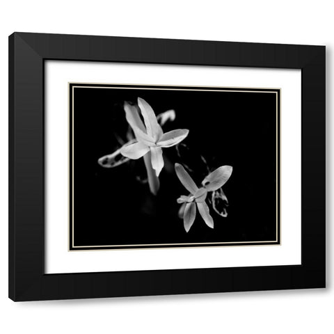 Poetry VI Black Modern Wood Framed Art Print with Double Matting by Ling, Tang