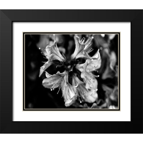 Poetry VII Black Modern Wood Framed Art Print with Double Matting by Ling, Tang