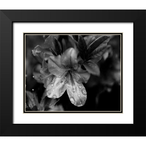 Poetry VIII Black Modern Wood Framed Art Print with Double Matting by Ling, Tang