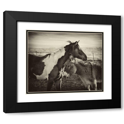 Kissing Horses II Black Modern Wood Framed Art Print with Double Matting by Drost, David