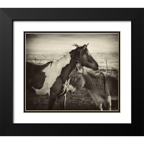 Kissing Horses II Black Modern Wood Framed Art Print with Double Matting by Drost, David