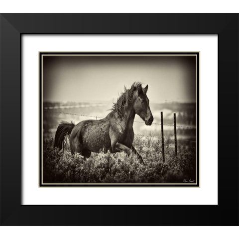 Running Horse Black Modern Wood Framed Art Print with Double Matting by Drost, David