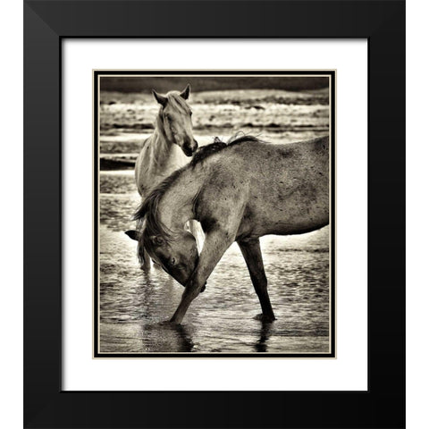 Beach Horses I Black Modern Wood Framed Art Print with Double Matting by Drost, David