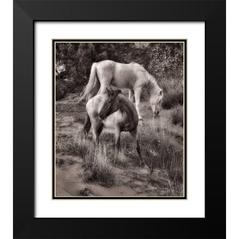 Beach Horses II Black Modern Wood Framed Art Print with Double Matting by Drost, David
