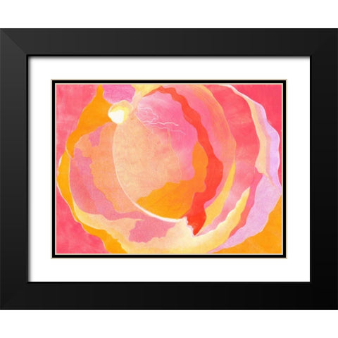 Cabbage Rose III Black Modern Wood Framed Art Print with Double Matting by Roth, Carolyn