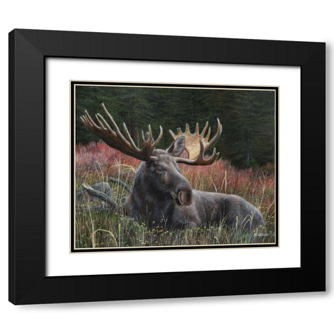 Recumbent Moose Black Modern Wood Framed Art Print with Double Matting by Daniel, Kevin