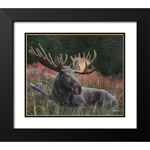 Recumbent Moose Black Modern Wood Framed Art Print with Double Matting by Daniel, Kevin