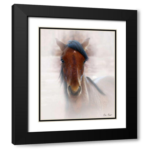 Horse Portrait I Black Modern Wood Framed Art Print with Double Matting by Drost, David