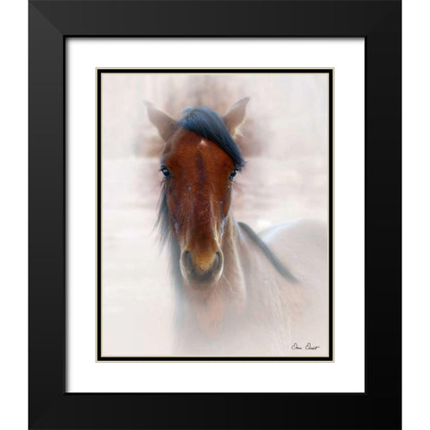 Horse Portrait I Black Modern Wood Framed Art Print with Double Matting by Drost, David
