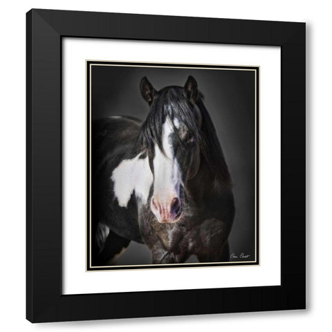Horse Portrait II Black Modern Wood Framed Art Print with Double Matting by Drost, David