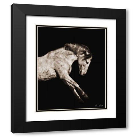 Horse Portrait IV Black Modern Wood Framed Art Print with Double Matting by Drost, David