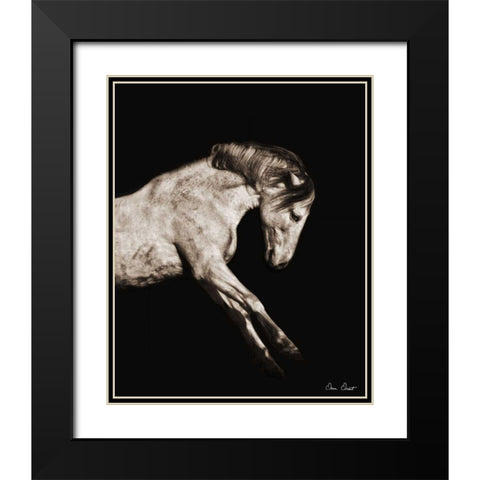 Horse Portrait IV Black Modern Wood Framed Art Print with Double Matting by Drost, David