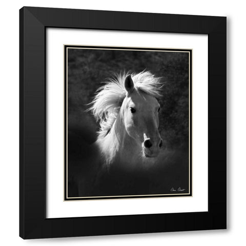 Horse Portrait V Black Modern Wood Framed Art Print with Double Matting by Drost, David