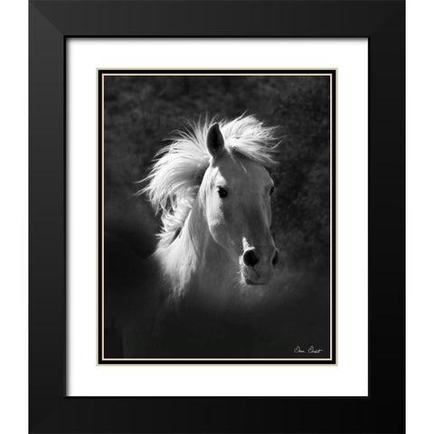 Horse Portrait V Black Modern Wood Framed Art Print with Double Matting by Drost, David