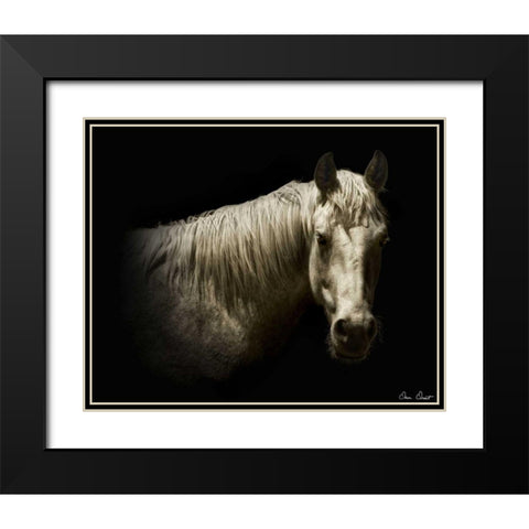 Horse Portrait VI Black Modern Wood Framed Art Print with Double Matting by Drost, David