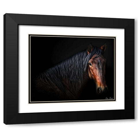 Horse Portrait VII Black Modern Wood Framed Art Print with Double Matting by Drost, David
