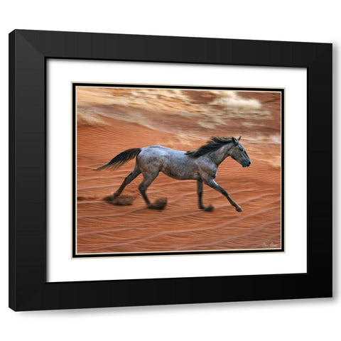 Blazing Horse II Black Modern Wood Framed Art Print with Double Matting by Drost, David