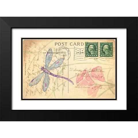 Postcard Dragonfly I Black Modern Wood Framed Art Print with Double Matting by Pallan, Nancy S.