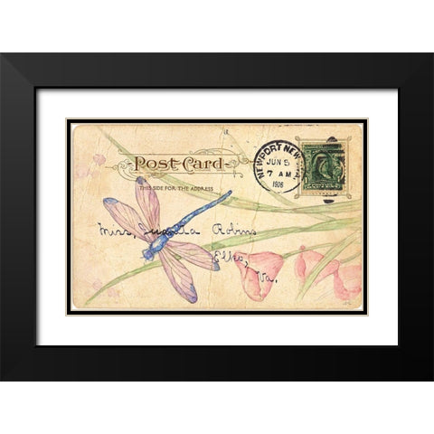 Postcard Dragonfly II Black Modern Wood Framed Art Print with Double Matting by Pallan, Nancy S.