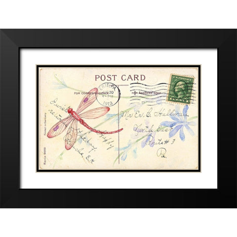 Postcard Dragonfly IV Black Modern Wood Framed Art Print with Double Matting by Pallan, Nancy S.