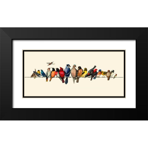 Bird Menagerie III Black Modern Wood Framed Art Print with Double Matting by Russell, Wendy