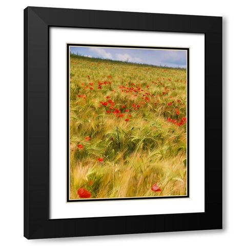 Poppies in Field I Black Modern Wood Framed Art Print with Double Matting by Chester, Colby