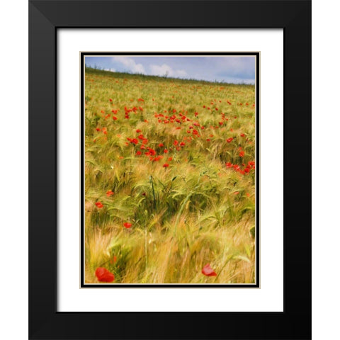 Poppies in Field I Black Modern Wood Framed Art Print with Double Matting by Chester, Colby