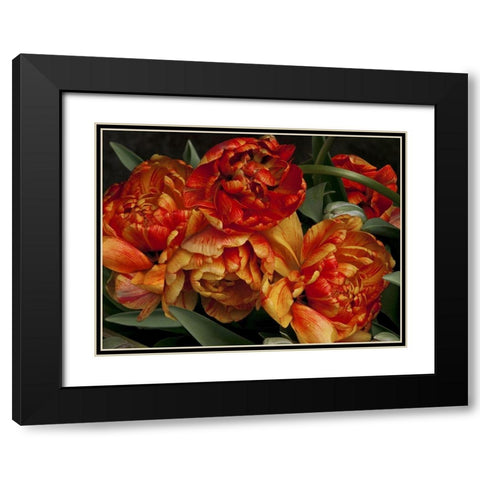 Old World Tulips I Black Modern Wood Framed Art Print with Double Matting by Perry, Rachel