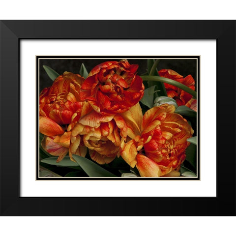 Old World Tulips I Black Modern Wood Framed Art Print with Double Matting by Perry, Rachel