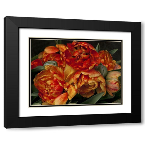 Old World Tulips II Black Modern Wood Framed Art Print with Double Matting by Perry, Rachel