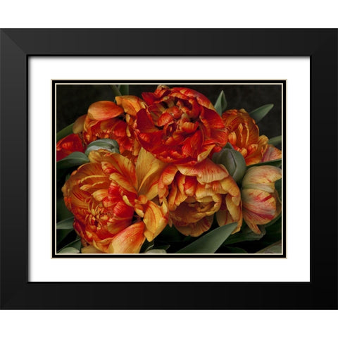 Old World Tulips II Black Modern Wood Framed Art Print with Double Matting by Perry, Rachel