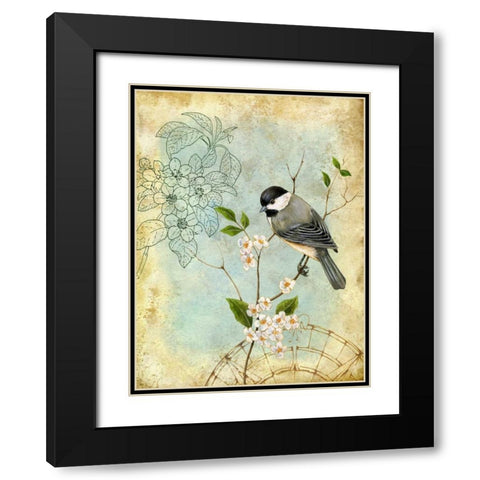 Songbird Sketchbook II Black Modern Wood Framed Art Print with Double Matting by Maday, Jane