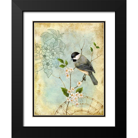 Songbird Sketchbook II Black Modern Wood Framed Art Print with Double Matting by Maday, Jane