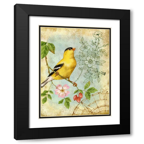 Songbird Sketchbook III Black Modern Wood Framed Art Print with Double Matting by Maday, Jane
