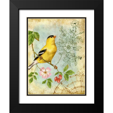 Songbird Sketchbook III Black Modern Wood Framed Art Print with Double Matting by Maday, Jane