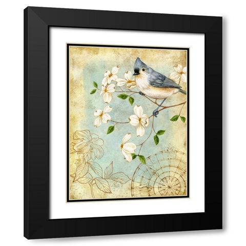 Songbird Sketchbook IV Black Modern Wood Framed Art Print with Double Matting by Maday, Jane
