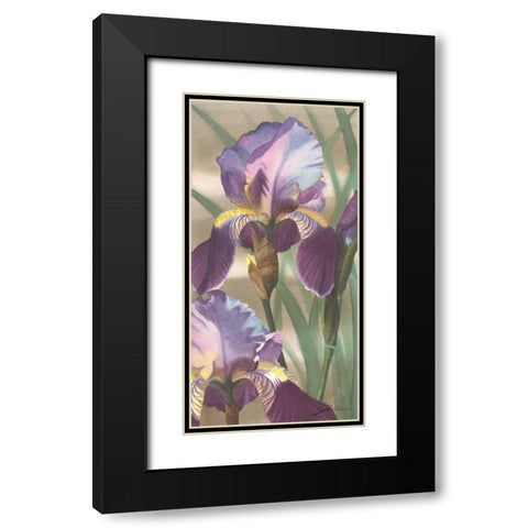 Asian Iris I Black Modern Wood Framed Art Print with Double Matting by Higby, Jason