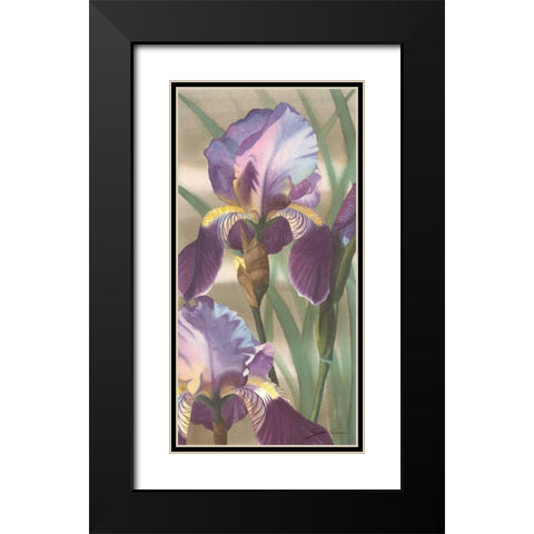 Asian Iris I Black Modern Wood Framed Art Print with Double Matting by Higby, Jason