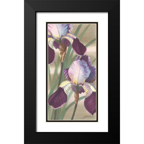 Asian Iris II Black Modern Wood Framed Art Print with Double Matting by Higby, Jason