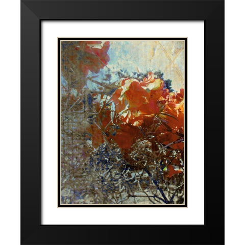 Tangled II Black Modern Wood Framed Art Print with Double Matting by Harrington, Danielle