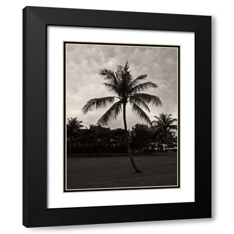Palms at Night II Black Modern Wood Framed Art Print with Double Matting by Ling, Tang