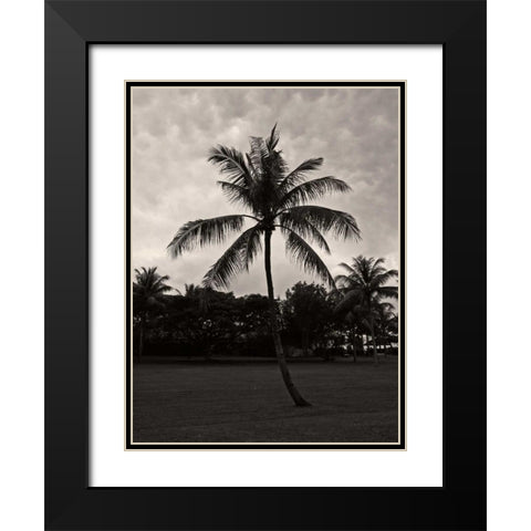 Palms at Night II Black Modern Wood Framed Art Print with Double Matting by Ling, Tang
