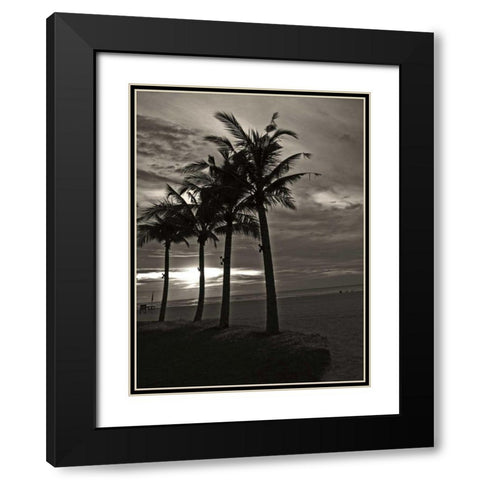 Palms at Night III Black Modern Wood Framed Art Print with Double Matting by Ling, Tang