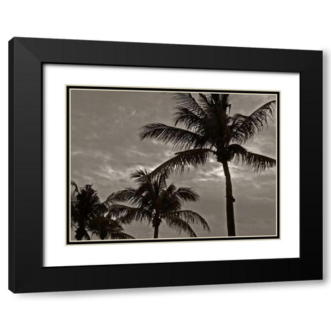 Palms at Night IV Black Modern Wood Framed Art Print with Double Matting by Ling, Tang