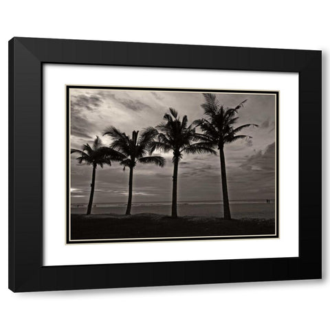 Palms at Night VI Black Modern Wood Framed Art Print with Double Matting by Ling, Tang