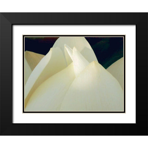 Lotus Detail III Black Modern Wood Framed Art Print with Double Matting by Christensen, Jim