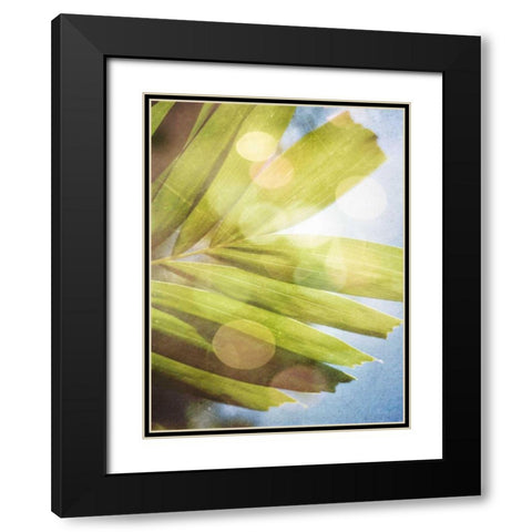 Tropical Daydream I Black Modern Wood Framed Art Print with Double Matting by Robinson, Emily