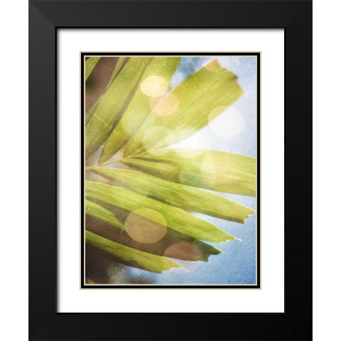 Tropical Daydream I Black Modern Wood Framed Art Print with Double Matting by Robinson, Emily