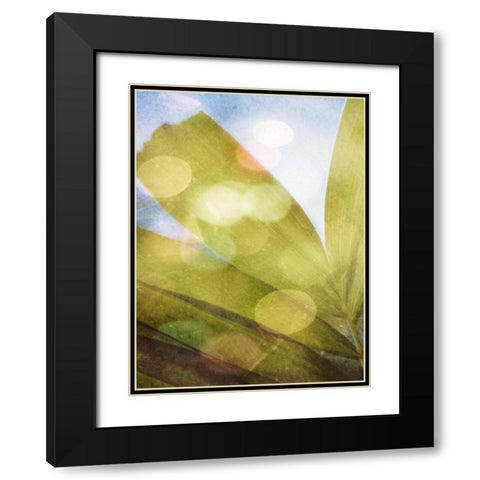 Tropical Daydream II Black Modern Wood Framed Art Print with Double Matting by Robinson, Emily