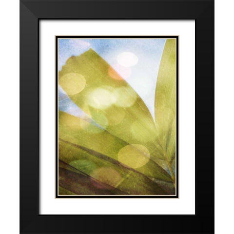 Tropical Daydream II Black Modern Wood Framed Art Print with Double Matting by Robinson, Emily